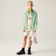 Chaqueta para niños Dare 2b Thriving IV Stretch Midlayer Celadon