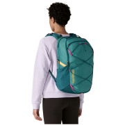 Mochila Patagonia Refugio Day Pack 30L