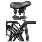 Candado de bicicleta AXA Newton 180/10