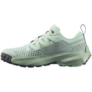 Calzado de mujer Salomon Terramphibian W