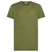 Camiseta funcional de hombre Icebreaker M 150 Tech Lite SS Tee IBCoordinates verde Sphagnum