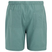 Pantalones cortos de hombre Regatta Hadlin Shorts