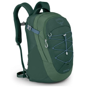 Mochila de mujer Osprey Questa 27 verde TortugaGreen