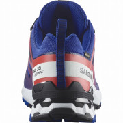 Calzado de hombre Salomon Xa Pro 3D V9 Gore-Tex Equipe