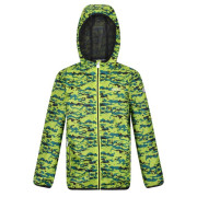 Chaqueta para niños Regatta Printed Lever (2023) verde BrightKiwCam