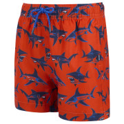 Bañador para niños Regatta Skander RusOranShark
