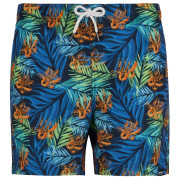 Bañador de hombre Regatta Loras Swim Short