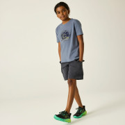 Camiseta para niños Dare 2b Trailbazer III Tee Mercury