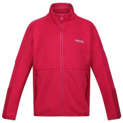 Sudadera para niños Regatta Jr Highton FZ IV rosa Berry Pink