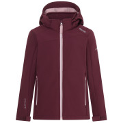 Chaqueta softshell para niños Regatta Haydenbury Fig violeta Fig Powder Lilac