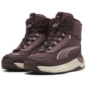 Calzado para niños Puma Puma Evolve 2.0 Boot PS Rich Cocoa-Powde