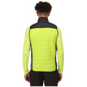 Chaleco de hombre Regatta Halton BW VI