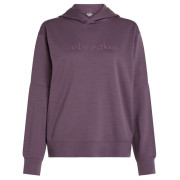 Sudadera funcional de mujer Icebreaker W Mer 360 RealFleece Elemental LS Hood violeta Grey Plum