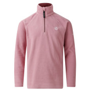 Sudadera para niños Dare 2b Freehand Fleece