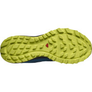 Calzado de hombre Salomon Trailster 2 GTX