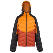 Chaqueta de hombre Regatta Hooded Dalent rojo/naranja Fox/RedOchre