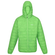 Chaqueta de invierno para hombre Regatta Hooded Hillpack verde claro JasmineGreen