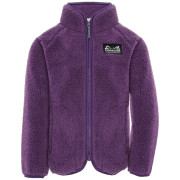 Sudadera para niños Didriksons Gibbs Kids Fullzip 2 Northen Purple violeta Northen Purple