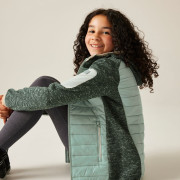 Chaqueta para niños Regatta Junior Newhill Hybrid