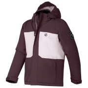 Chaqueta para niños Dare 2b Send It II Jacket Hucklbr/PkHz