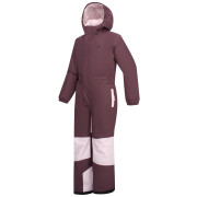Mono para niños Dare 2b Rodeo Snowsuit Hucklbr/PkHz