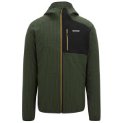 Sudadera de hombre Regatta Alven verde DarkKhak/Blk