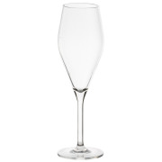 Juego de vasos Gimex ROY Champagne glass