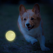 Juguete para perro Nerf Dog LED launcher Air Strike