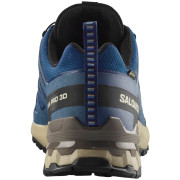 Calzado de senderismo para hombre Salomon Xa Pro 3D V9 Gore-Tex