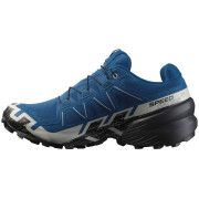 Zapatillas de carrera para hombre Salomon Speedcross 6 Gore-Tex