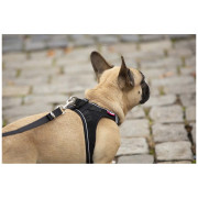 Correa para perro Curli Adjustable Leash Nylon