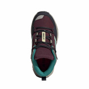 Calzado para niños Adidas Terrex Ax4R R.Rdy M Red