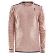 Camiseta para niños Craft Triko Fuseknit Comfort JR rosa TouchDkGrayMelange