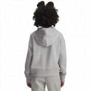 Sudadera para niños Under Armour Rival Fleece Crop Hoodie