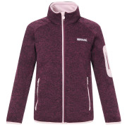 Sudadera para niños Regatta Junior Newhill Fig Powder Lilac rojo FigPowLilac