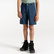 Pantalones cortos para niños Dare 2b Reprise II Short