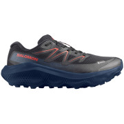 Calzado de hombre Salomon Ultra Flow 2 Gore-Tex