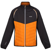 Chaqueta de hombre Regatta Steren Hybrid naranja Orange Pepper/Ash