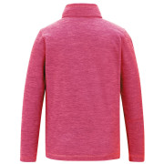 Sudadera para niños Regatta Hot Shot Marl Pop