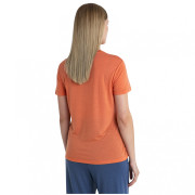 Camiseta funcional de mujer Icebreaker Women Merino Core SS Tee Plume