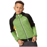 Sudadera para niños Regatta Prenton II