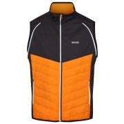 Chaqueta de hombre Regatta Steren Hybrid