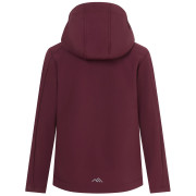 Chaqueta softshell para niños Regatta Haydenbury Fig
