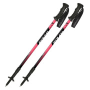 Bastones de senderismo Fizan Trek