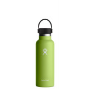 Botella térmica Hydro Flask Standard Mouth 18 oz verde claro Seagrass