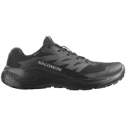 Calzado de hombre Salomon Alphaglide Gore-Tex