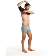 Calzoncillos bóxer funcionales para hombre Icebreaker M Mer 125 ZoneKnit Boxers