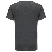 Camiseta de hombre Alpine Pro Adarn