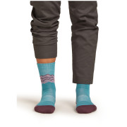 Calcetines de mujer Icebreaker Women Merino Hike+ Medium Crew Across the Peaks