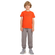Camiseta para niños 4F Tshirt M2417